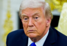 Trump llama “estúpida” a reportera por preguntarle por qué culpa a Biden del tiroteo en DC Trump llama "estúpida" a reportera por preguntarle por qué culpa a Biden del tiroteo en DC