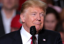 Trump reducirá sueldo de controladores aéreos ausentes por cierre federal de gobierno Trump reducirá sueldo de controladores aéreos ausentes por cierre federal de gobierno