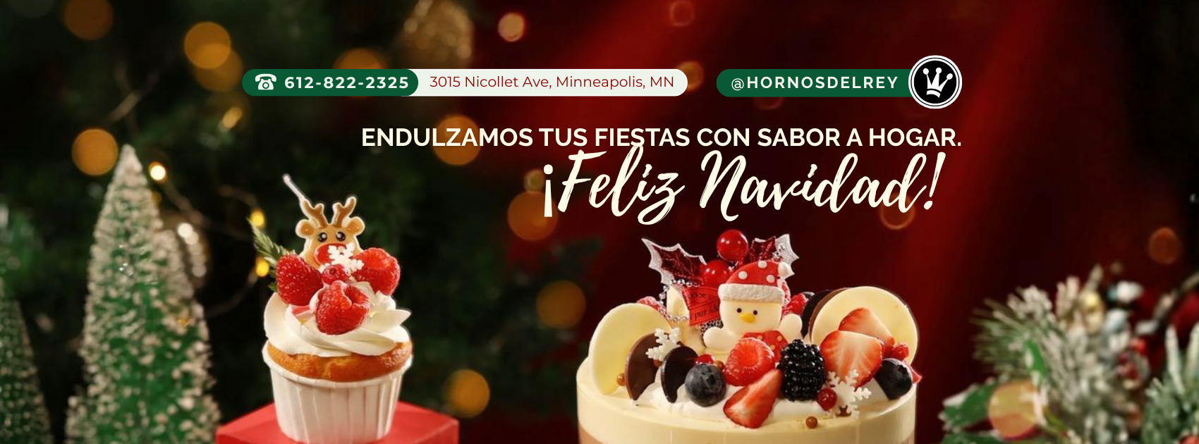 Google search engine