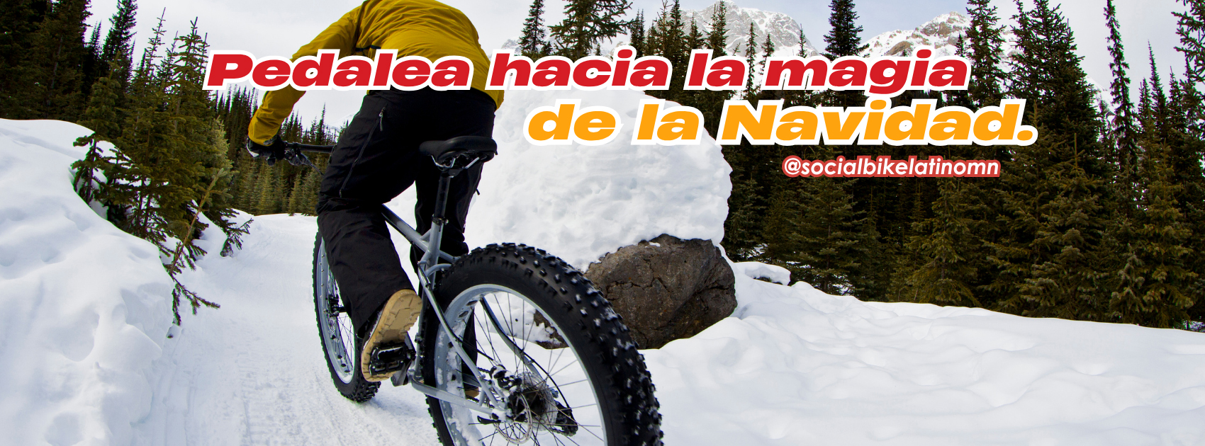 Google search engine