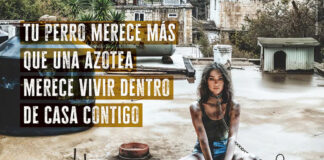 Ale Müller protagoniza campaña con PETA Latino en contra del maltrato animal en México Ale Müller protagoniza campaña con PETA Latino en contra del maltrato animal en México