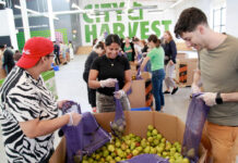 Cómo la organización de rescate de alimentos más grande de NY intervino durante la crisis del SNAP Cómo la organización de rescate de alimentos más grande de NY intervino durante la crisis del SNAP
