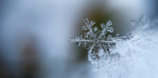 La física de los copos de nieve: ¿es cierto que no existen dos iguales? La física de los copos de nieve: ¿es cierto que no existen dos iguales?