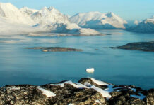 EEUU no tomará el control de Groenlandia, aseguran líderes de Dinamarca y Groenlandia EEUU no tomará el control de Groenlandia, aseguran líderes de Dinamarca y Groenlandia