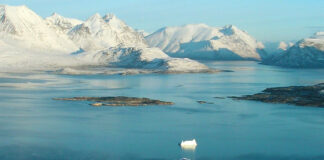 EEUU no tomará el control de Groenlandia, aseguran líderes de Dinamarca y Groenlandia EEUU no tomará el control de Groenlandia, aseguran líderes de Dinamarca y Groenlandia