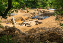 Humanos del este de Inglaterra ya controlaban el fuego hace 400 000 años Humanos del este de Inglaterra ya controlaban el fuego hace 400 000 años