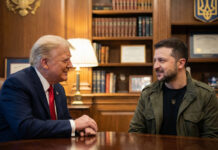 Donald Trump y Volodimir Zelensky inician reunión para discutir acuerdo de paz Donald Trump y Volodimir Zelensky inician reunión para discutir acuerdo de paz