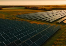 El sector solar de Carolina del Norte en crisis tras los recortes de financiación federal El sector solar de Carolina del Norte en crisis tras los recortes de financiación federal