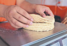 ¿Tortillas con ácido fólico? Entra en vigor ley en California sobre productos de masa de maíz ¿Tortillas con ácido fólico? Entra en vigor ley en California sobre productos de masa de maíz