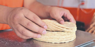 ¿Tortillas con ácido fólico? Entra en vigor ley en California sobre productos de masa de maíz ¿Tortillas con ácido fólico? Entra en vigor ley en California sobre productos de masa de maíz