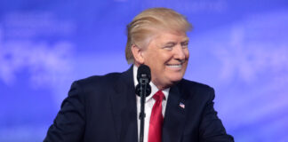 Trump viajó en avión de Epstein al menos 8 veces en la década de 1990, según archivos Trump viajó en avión de Epstein al menos 8 veces en la década de 1990, según archivos