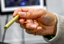 Trump flexibiliza restricciones federales sobre la marihuana, pero sigue siendo ilegal Trump flexibiliza restricciones federales sobre la marihuana, pero sigue siendo ilegal