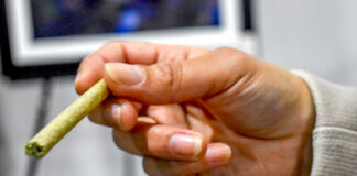 Trump flexibiliza restricciones federales sobre la marihuana, pero sigue siendo ilegal Trump flexibiliza restricciones federales sobre la marihuana, pero sigue siendo ilegal