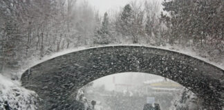 EEUU enfrenta una ola de frío glacial; tormenta invernal paraliza amplias regiones EEUU enfrenta una ola de frío glacial; tormenta invernal paraliza amplias regiones