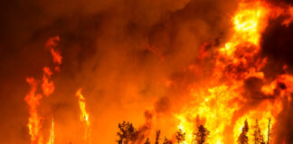 Incendios forestales en la Patagonia argentina ya superan 15 mil hectáreas Incendios forestales en la Patagonia argentina ya superan 15 mil hectáreas