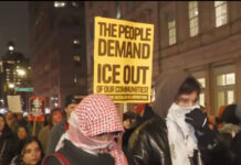 Republicanos piden investigación en MN; “el presidente está recibiendo malos consejos” Republicanos piden investigación en MN; "el presidente está recibiendo malos consejos"