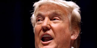 Trump anuncia aranceles del 25% a cualquier país que haga negocios con Irán Trump anuncia aranceles del 25% a cualquier país que haga negocios con Irán