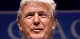 Trump lanza la “Britney señal”; le gritan “protector de pedófilos”, en Michigan Trump lanza la "Britney señal"; le gritan "protector de pedófilos", en Michigan