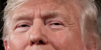 Trump envía carta a Noruega: Al no recibir el Nobel, ya no me siento obligado a pensar en la paz Trump envía carta a Noruega: Al no recibir el Nobel, ya no me siento obligado a pensar en la paz