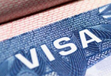 EEUU revocó unos 100 mil visas en 2025 afectando a turistas y viajeros EEUU revocó unos 100 mil visas en 2025 afectando a turistas y viajeros