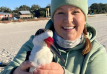 Bióloga de la FWC despedida por publicación sobre Charlie Kirk solicita juicio sumario Bióloga de la FWC despedido por publicación sobre Charlie Kirk solicita juicio sumario