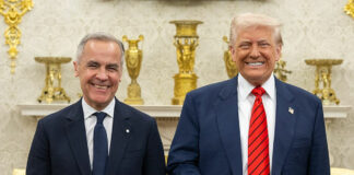 Carney contradice a Trump y afirma que Canadá pagó por puente que conecta con EEUU Carney contradice a Trump y afirma que Canadá pagó por puente que conecta con EEUU