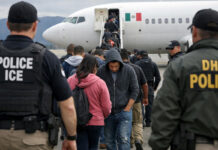 Detenciones de ICE y deportaciones se multiplicaron en primeros 9 meses de Trump Detenciones de ICE y deportaciones se cuadriplicaron en primeros 9 meses de Trump