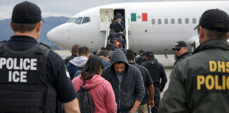 Detenciones de ICE y deportaciones se multiplicaron en primeros 9 meses de Trump Detenciones de ICE y deportaciones se cuadriplicaron en primeros 9 meses de Trump
