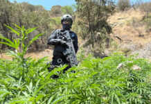 Especialistas vaticinan guerra interna por liderazgo del CJNG tras muerte de “El Mencho” Especialistas vaticinan guerra interna por liderazgo del CJNG tras muerte de "El Mencho"