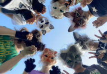 Los “therians”, el fenómeno mundial que causa preocupación, confusión, burlas y más Los "therians", el fenómeno mundial que causa preocupación, confusión, burlas y más