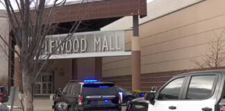 Tiroteo en Maplewood Mall: un herido y dos menores sospechosos bajo custodia Tiroteo en Maplewood Mall: un herido y dos menores sospechosos bajo custodia