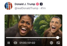 Trump comparte un video racista que muestra a los Obama como simios, desata fuertes críticas Trump comparte un video racista que muestra a los Obama como simios, desata fuertes críticas