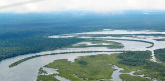 Perú y Brasil firman acuerdo científico; impulsan innovación y protección de la Amazonía Perú y Brasil firman acuerdo científico; impulsan innovación y protección de la Amazonía