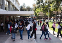 La educación en México tiene rostro de mujer; 7 de cada 10 docentes son maestras La educación en México tiene rostro de mujer; 7 de cada 10 docentes son maestras