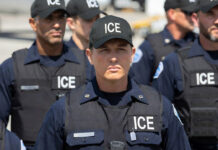 Trump usará agentes de ICE en aeropuertos: “Se encargarán de la seguridad como nadie ha visto nunca” Trump usará agentes de ICE en aeropuertos: "Se encargarán de la seguridad como nadie ha visto nunca"