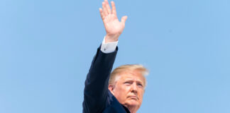 Por Trump, Amnistía Internacional advierte peligro para aficionados en el Mundial 2026 Por Trump, Amnistía Internacional advierte peligro para aficionados en el Mundial 2026