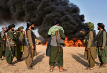 El decomiso y quema de amapola en Afganistán impulsa opioides sintéticos del narco mexicano Con los decomisos y quema de amapola en Afganistán gana el narco mexicano con opioides sintéticos