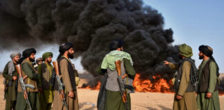 El decomiso y quema de amapola en Afganistán impulsa opioides sintéticos del narco mexicano Con los decomisos y quema de amapola en Afganistán gana el narco mexicano con opioides sintéticos