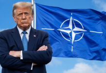 “No necesitamos ayuda de nadie”, dice Trump, tras recibir el rechazo de la OTAN en Ormuz "No necesitamos ayuda de nadie", dice Trump, tras recibir el rechazo de la OTAN en Ormuz