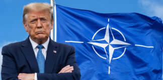 “No necesitamos ayuda de nadie”, dice Trump, tras recibir el rechazo de la OTAN en Ormuz "No necesitamos ayuda de nadie", dice Trump, tras recibir el rechazo de la OTAN en Ormuz