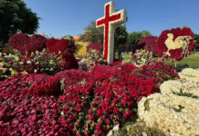 Tumba de “El Mencho” se vuelve atractivo turístico en Jalisco; visitantes acuden con sigilo Tumba de "El Mencho" se vuelve atractivo turístico en Jalisco; visitantes acuden con sigilo
