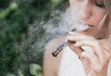¿Celebraste el 4/20?; descubre los mitos y realidades de la marihuana en la salud ¿Celebraste el 4/20?; descubre los mitos y realidades de la marihuana en la salud
