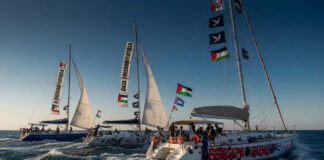 Denuncian secuestro de documentalista mexicana y cerco israelí a flotilla Sumud, rumbo a Gaza Delegada mexicana denuncia secuestro y reporta cerco a flotilla humanitaria rumbo a Gaza