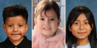 Más de 70 niños de Minnesota fueron detenidos en la Operación Metro Surge Más de 70 niños de Minnesota fueron detenidos en la Operación Metro Surge