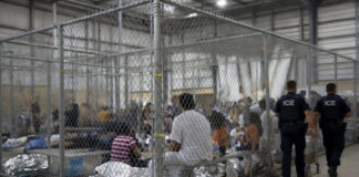 Detenciones de migrantes en EEUU se disparan con Trump; aumentan más de 1000% Detenciones de migrantes en EEUU se disparan con Trump; aumentan más de 1000%