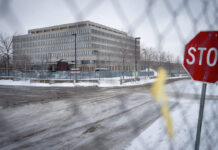 Un abogado que ha difundido teorías conspirativas racistas será juez de inmigración de Minnesota Un abogado que ha difundido teorías conspirativas racistas será juez de inmigración de Minnesota