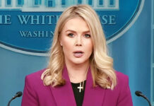 Casa Blanca pide a Sheinbaum “empatía” por agentes de EEUU fallecidos en México Casa Blanca pide a Sheinbaum "empatía" por agentes de EEUU fallecidos en México