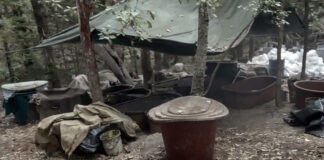 Mueren elementos de la embajada de EEUU en operativo contra narcolaboratorios en Chihuahua Mueren elementos de la embajada de EEUU en operativo contra narcolaboratorios en Chihuahua