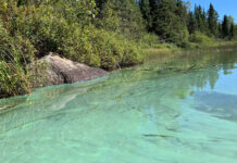 La proliferación de algas en Boundary Waters evidencia la amenaza del calentamiento global La proliferación de algas en Boundary Waters evidencia la amenaza del calentamiento global