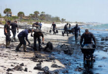 Autoridades mexicanas recolectan más de 800 toneladas de crudo tras derrame en el Golfo de México Autoridades mexicanas recolectan más de 800 toneladas de crudo tras derrame en el Golfo de México